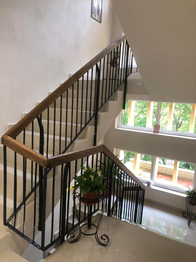 Casa Bocan Geoagiu Băi Buitenkant foto