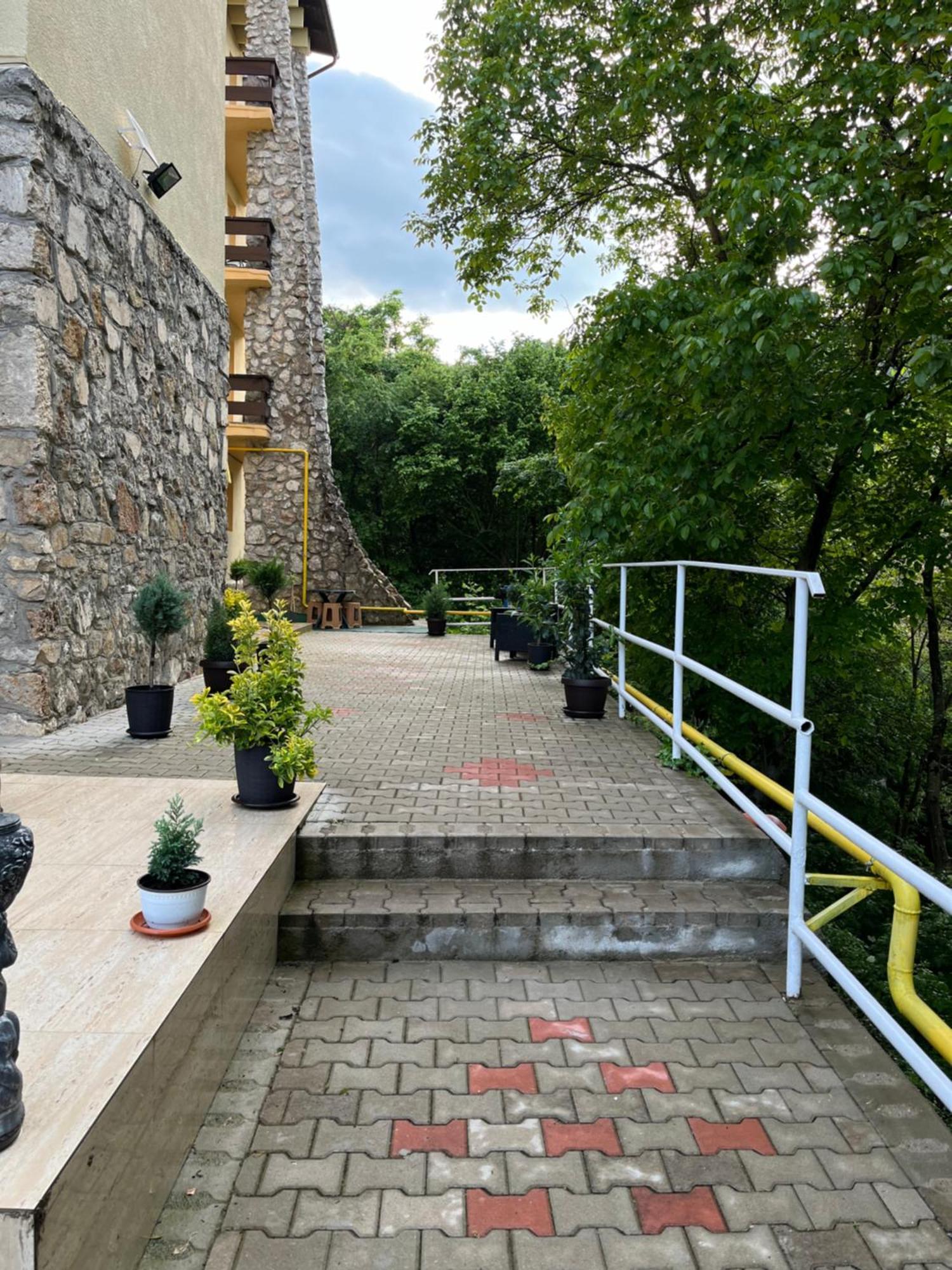 Casa Bocan Geoagiu Băi Buitenkant foto